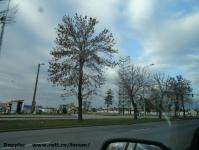 Imagine atasata: Shopping City Timisoara - 2015.11.11 - 09.jpg